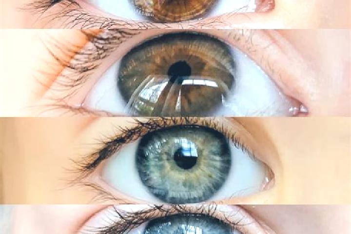 Olivia, 32, a chestnut hazel-eyed caucasian companion based in Casserengue. Offering A-Level, Duos, 69, CIM. Available for incall and outcall, overnight book...