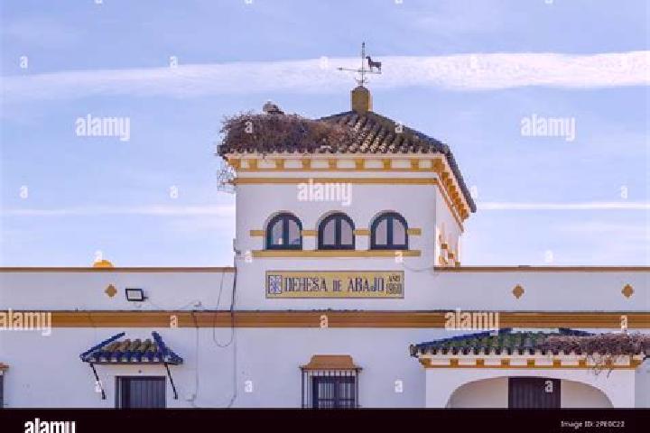 Olivia, 32 — Escort in La Puebla del Rio, Spain
