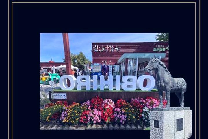 Olivia, 32 — Escort in Obihiro, Japan