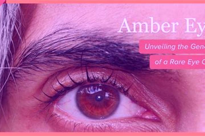 Olivia, 33, a red amber-eyed european companion based in Cabra del Santo Cristo. Offering Girlfriend Experience, Couples, Erotic Massage, Deep French Kissing...
