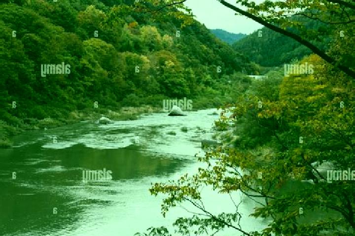 Olivia, 33 — Escort in Agematsu, Japan