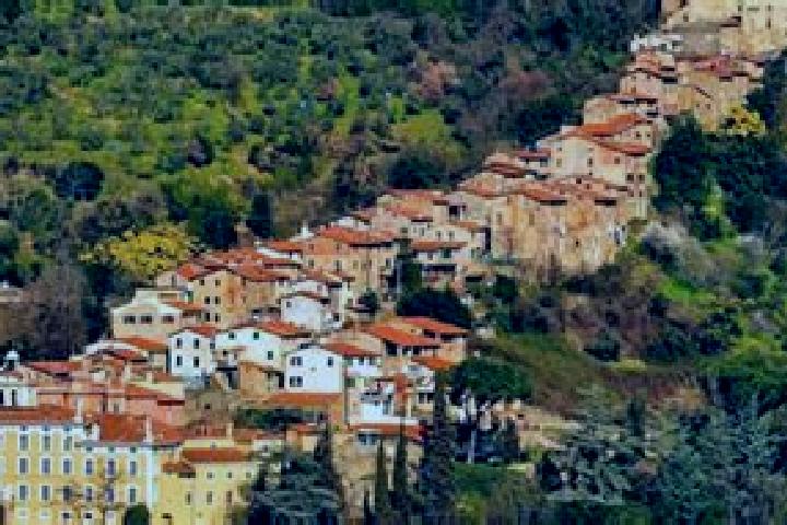 Olivia, 33 — Escort in Chiesino-Collodi, Italy
