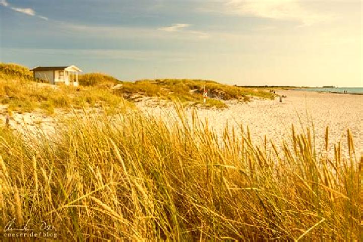 Olivia, 33 — Escort in Skanoer med Falsterbo, Sweden