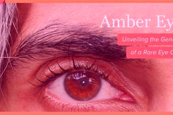 Olivia, 34, a red amber-eyed asian companion based in Bath. Offering CIM, Roleplay, 69, Tantra, Striptease. Available for incall and outcall, overnight booki...