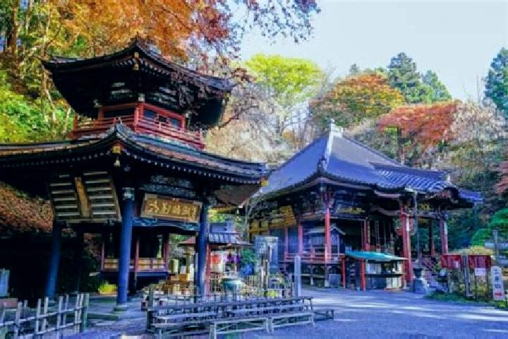 Olivia, 34 — Escort in Shibukawa, Japan