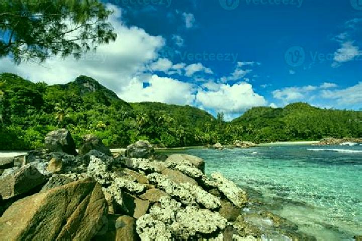 Olivia, 35 — Escort in Port Glaud, Seychelles