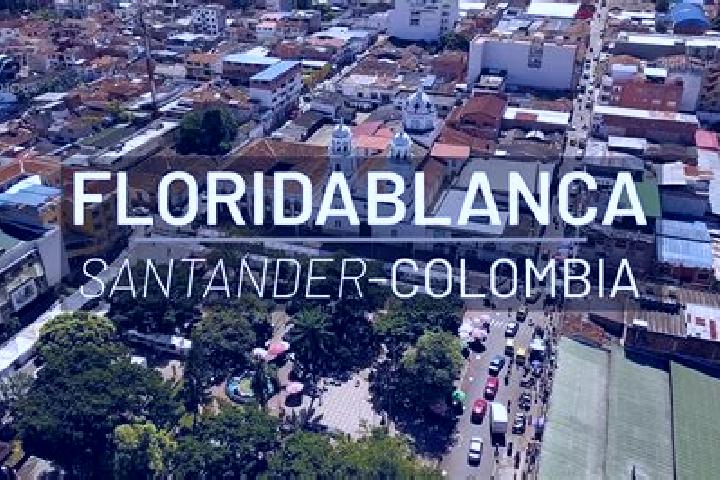 Olivia, 36 — Escort in Floridablanca, Colombia