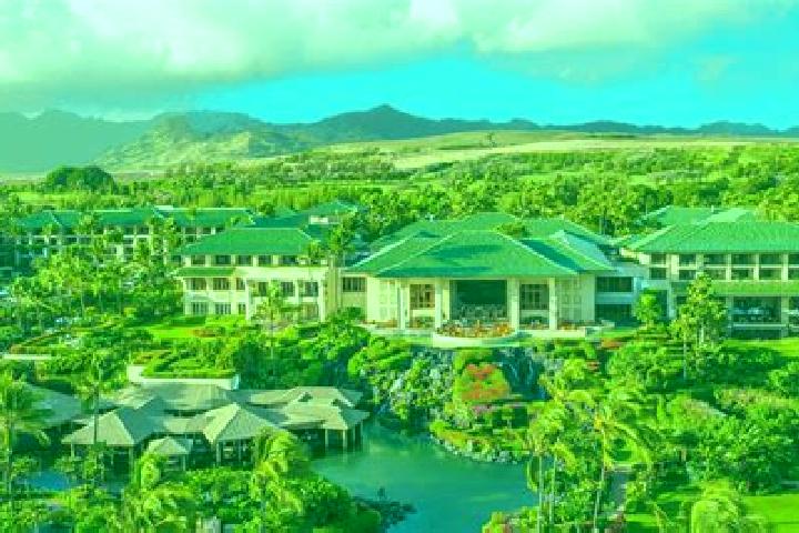 Olivia, 37 — Escort in Koloa, United States