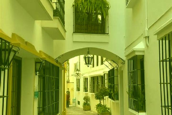 Olivia, 37 — Escort in Nazaret, Spain