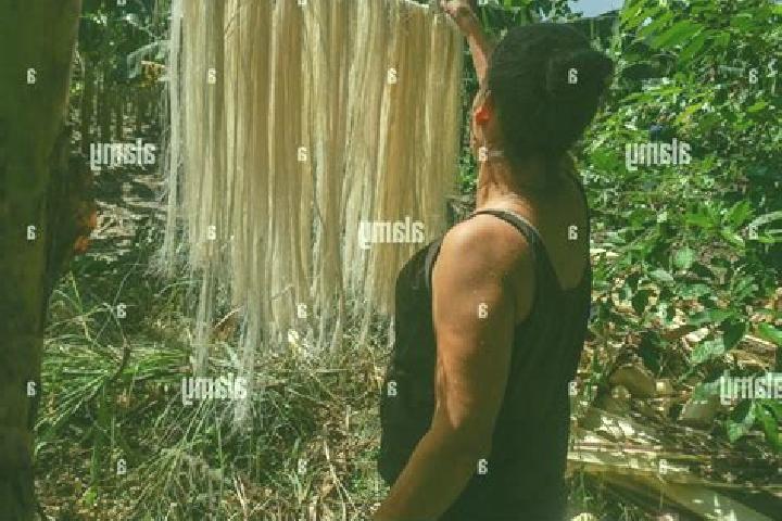 Olivia, 39 — Escort in Cabuyaro, Colombia