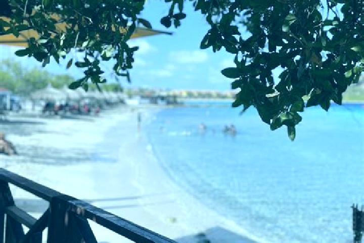 Olivia, 39 — Escort in Dorp Tera Kora, Bonaire
