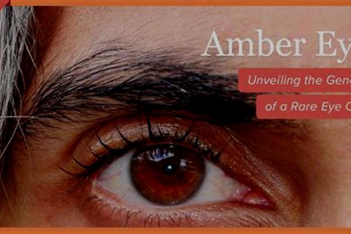 Penelope, 21, a red amber-eyed latina companion based in Huailai. Offering BDSM, Travel Companion, Tantra. Available for incall and outcall, overnight bookin...