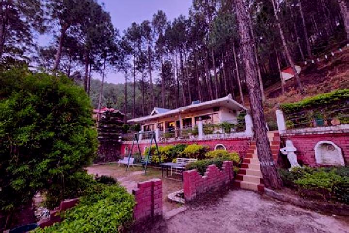 Penelope, 21 — Escort in Kasauli, India