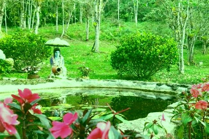 Penelope, 21 — Escort in La Azulita, Venezuela