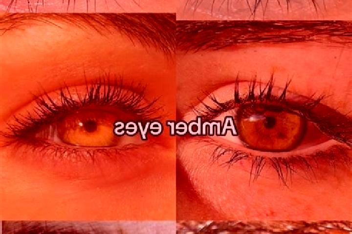Penelope, 23, a chestnut amber-eyed middle eastern companion based in Great Houghton. Offering Girlfriend Experience, 69, Tantra, Duos. Available for incall ...