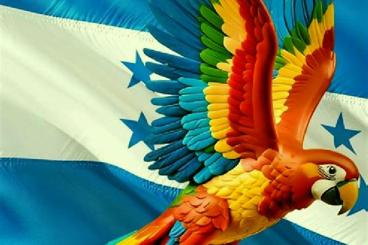 Penelope, 23 — Escort in El Cubolero, Honduras