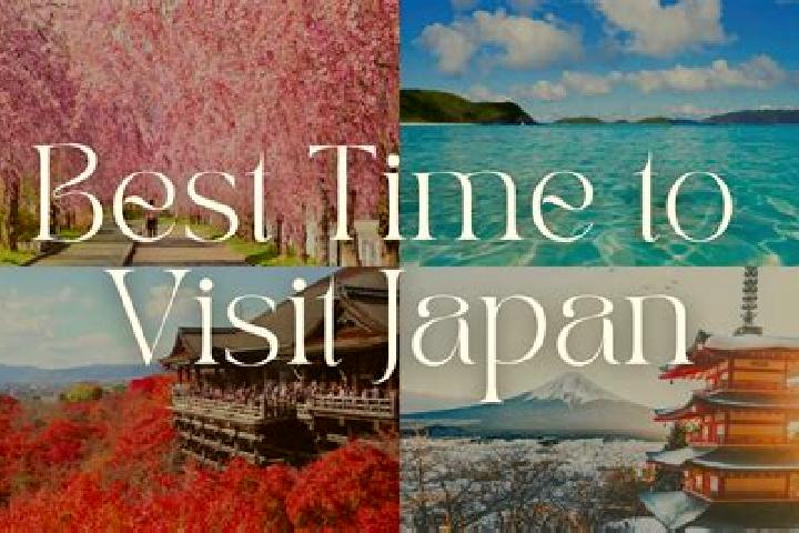 Penelope, 23 — Escort in Hodatsushimizu, Japan