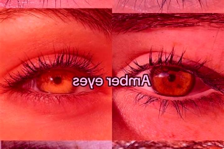 Penelope, 24, a chestnut amber-eyed asian companion based in Rayduzhnyi Masyv. Offering BDSM, Duos, CIM, GFE. Available for incall and outcall, overnight boo...