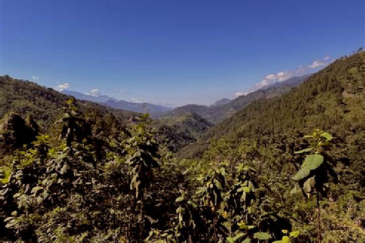 Penelope, 25 — Escort in Senahu, Guatemala