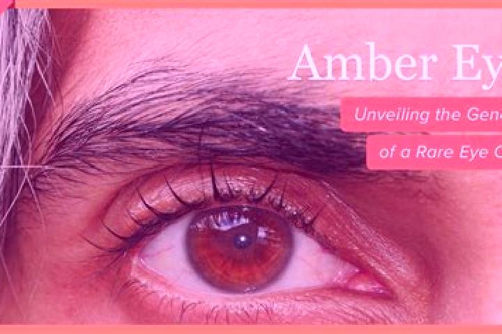 Penelope, 27, a red amber-eyed ebony companion based in Manokwari. Offering Fetish, Couples, 69. Available for incall and outcall, day and evening dates.