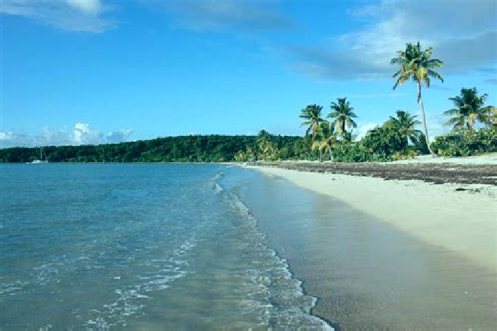 Penelope, 28 — Escort in Vieques, Puerto Rico