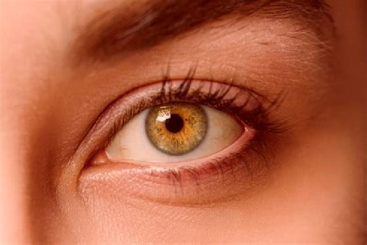 Penelope, 34, a chestnut hazel-eyed mixed companion based in Haslet. Offering Dinner Date, Couples, 69. Available for incall and outcall, overnight bookings ...