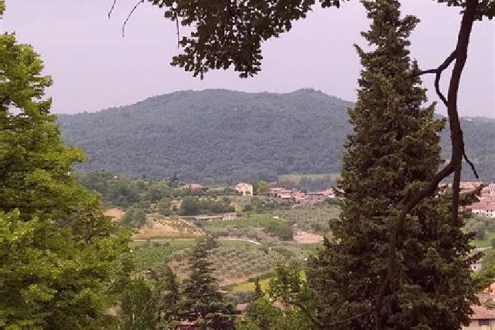 Penelope, 36 — Escort in Roe Volciano, Italy
