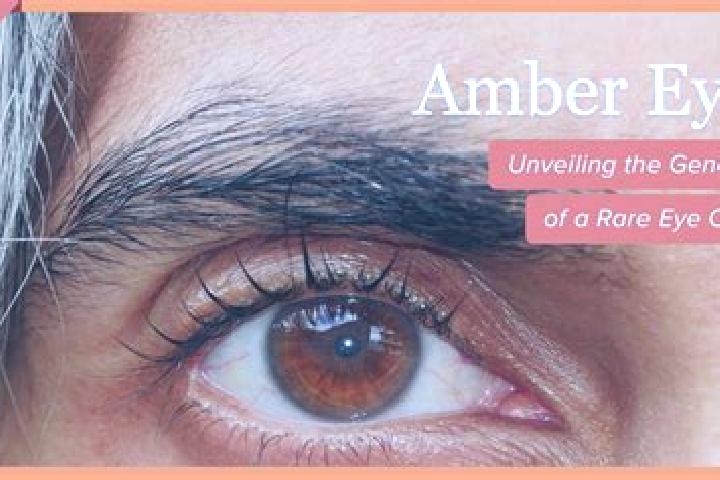 Penelope, 37, a red amber-eyed caucasian companion based in Ierapetra. Offering Fetish, Deep French Kissing, 69, A-Level. Available for incall and outcall, o...