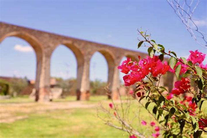 Penelope, 37 — Escort in El Saucillo de Primavera, Mexico