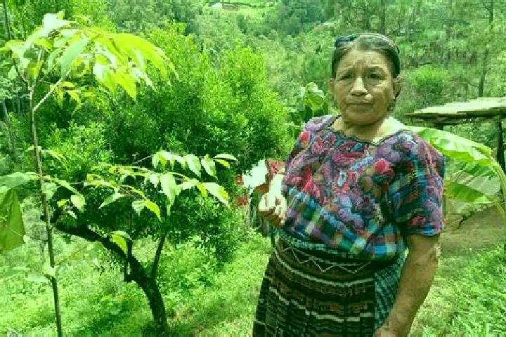 Penelope, 37 — Escort in Santa Maria Chiquimula, Guatemala