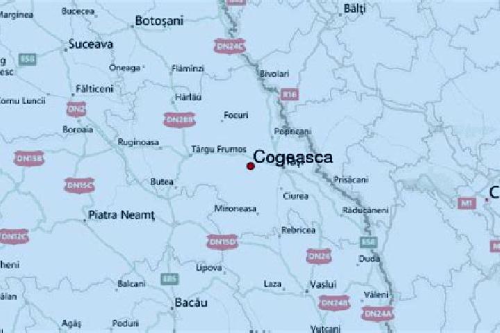 Piper, 20 — Escort in Cogeasca, Romania