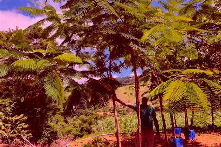 Piper, 20 — Escort in Coronel Sapucaia, Brazil