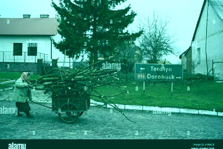Piper, 20 — Escort in Horodlo, Poland