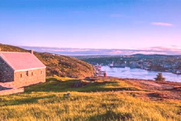 Piper, 20 — Escort in St. John s, Canada