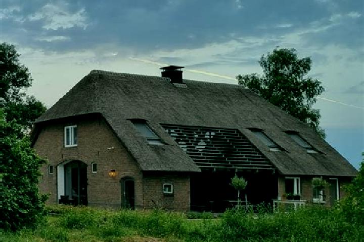 Piper, 21 — Escort in Beemte-Broekland, Netherlands