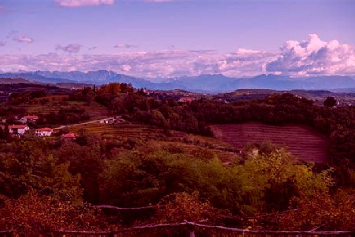 Piper, 22 — Escort in San Floriano del Collio, Italy