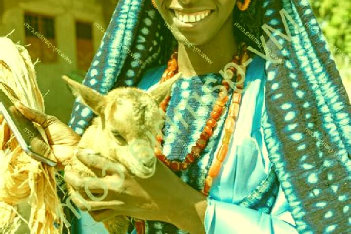 Piper, 22 — Escort in Sinchu Balla, Gambia