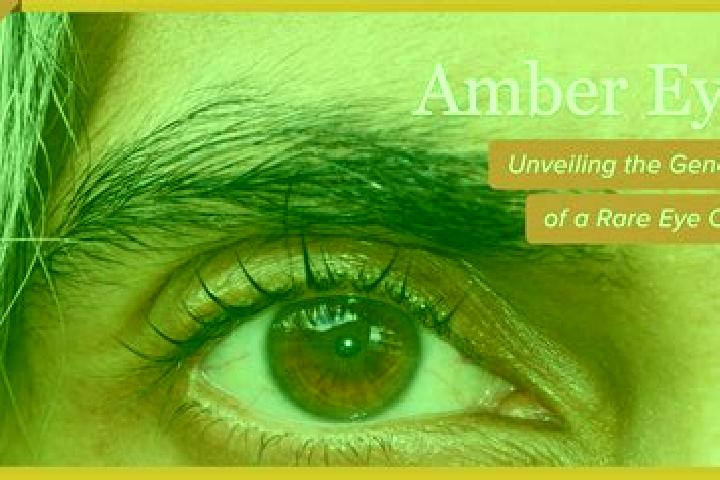 Piper, 23, a black amber-eyed caribbean companion based in Market Harborough. Offering Deep French Kissing, Travel Companion, Overnight. Available for incall...