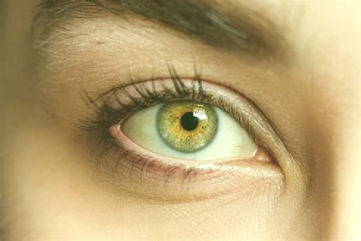Piper, 23, a chestnut hazel-eyed mixed companion based in Mansfeld. Offering Massage, CIM, Erotic Massage. Available for incall and outcall, day and evening ...