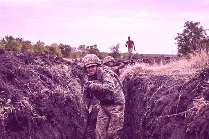 Piper, 24 — Escort in Kostryzhivka, Ukraine