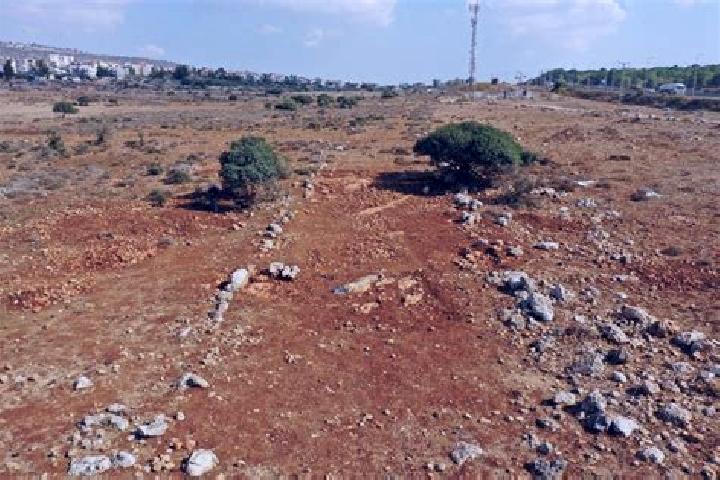 Piper, 24 — Escort in Rumat al-Hayb, Israel