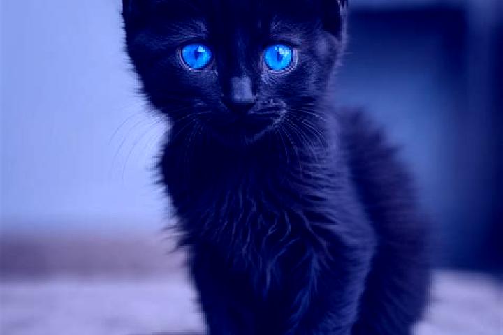 Piper, 25, a black blue-eyed mediterranean companion based in Wemding. Offering BDSM, Travel Companion, Striptease, Party Girl. Available for incall and outc...