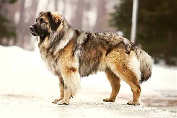 Piper, 25, a black brown-eyed caucasian companion based in Sant Anna I. Offering 69, Fetish, Travel Companion, Dinner Date. Available for incall and outcall,...