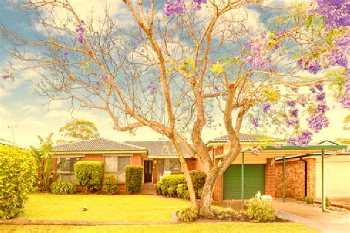 Piper, 25 — Escort in Cambridge Gardens, Australia