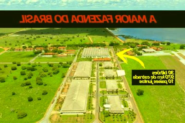 Piper, 25 — Escort in Fazenda Nova, Brazil