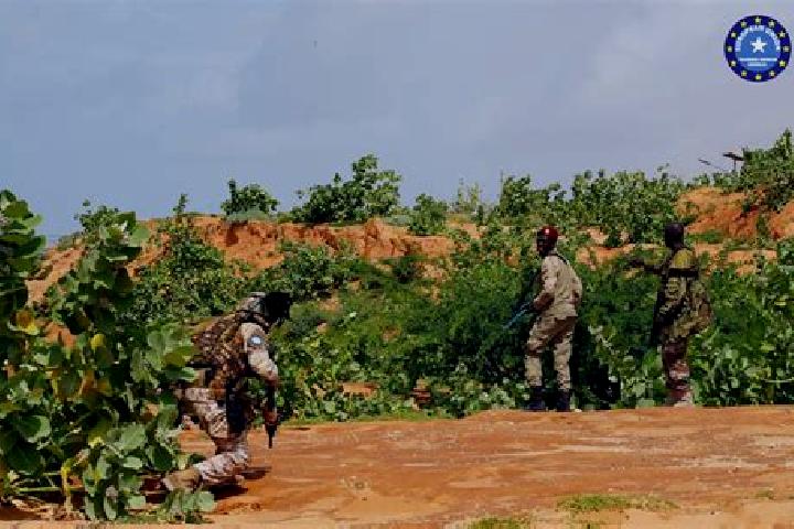 Piper, 25 — Escort in Xuddur, Somalia