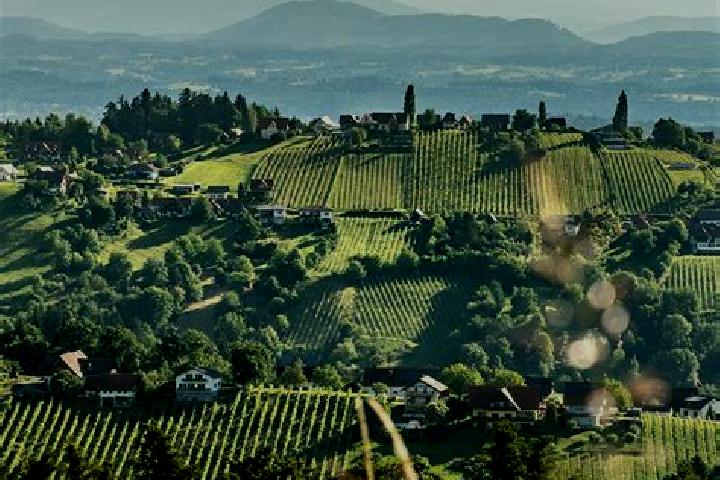 Piper, 27 — Escort in Gamlitz, Austria