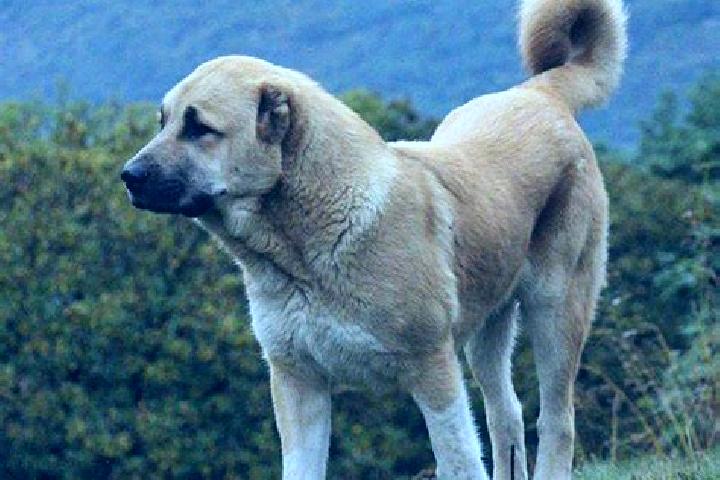 Piper, 27 — Escort in Mets Ayrum, Armenia