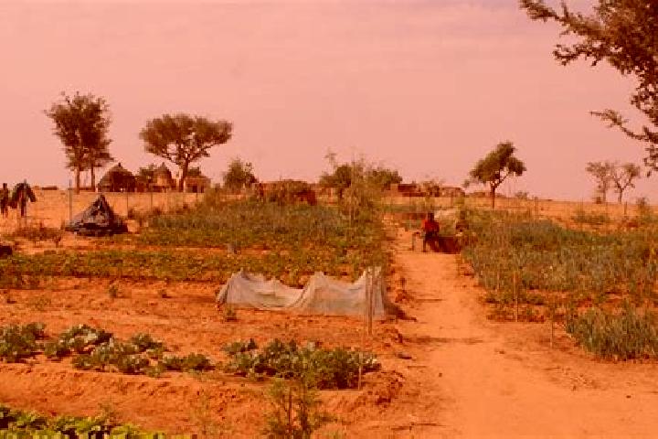 Piper, 28 — Escort in Aguie, Niger