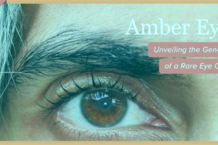 Piper, 29, a black amber-eyed caucasian companion based in Saint-Joseph-de-Sorel. Offering Overnight, CIM, 69. Available for incall and outcall, day and even...